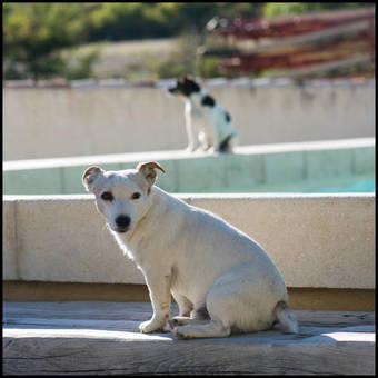 Bed & Breakfast La Fontaine