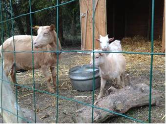 Bed & Breakfast Chambre D'hotes La Chaiserie