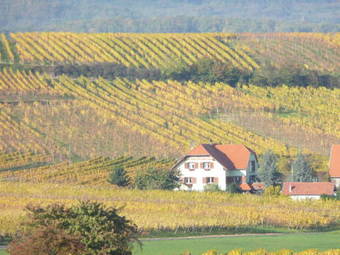 Hostal Maison D'h�tes Les Feuilles D'or