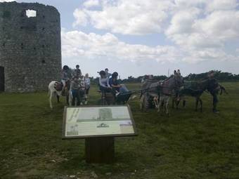 Ecuries Leseigneur - Gite