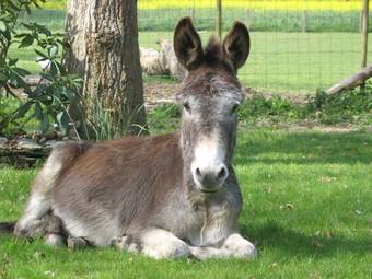 Bed & Breakfast Le Clos Saint Fiacre