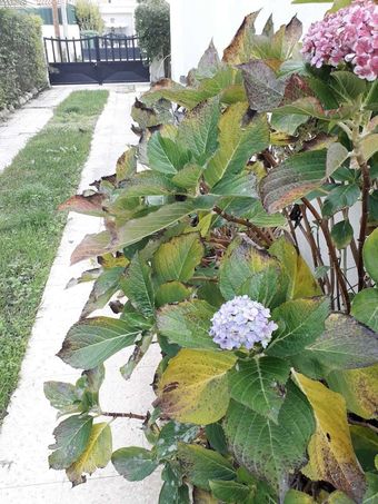 Hostal Backpackers Hostel Fonte Da Telha