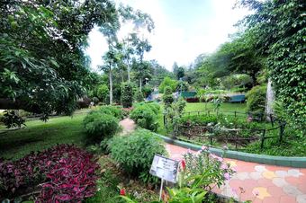 Hotel Coorg Jungle Camp Backwater Resort