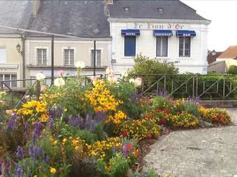 Hotel H�tel Le Lion D'or