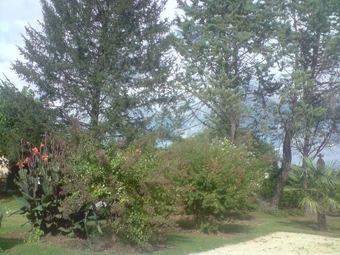 Bed & Breakfast Chambres D'hotes De L'ancien Prieur�