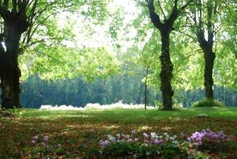 Maison D'h�tes Ch�teau De La Motte