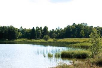 Hotel H�tel De L'abbaye