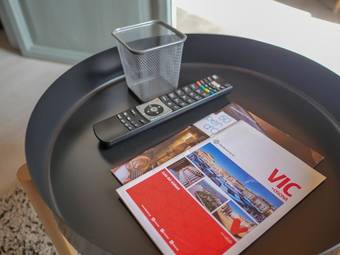 Luxury Apartment Stancesvic