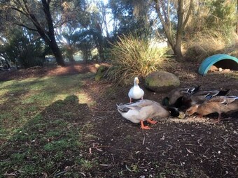 Willandra Tiny House