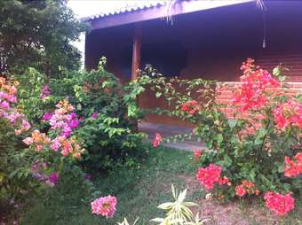 Lotus Chalets Eco Hotel