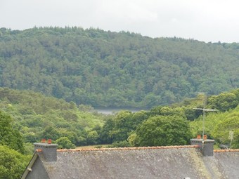 Bed & Breakfast La Verrerie De Guerl�dan