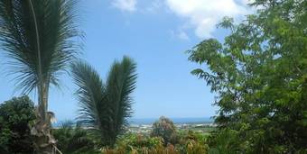 Apartamento Les Hibiscus De La Rivi�re