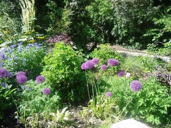 Posada The Ormidale Hotel