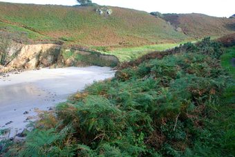 House With One Bedroom In Beuzec-cap-sizun, With Wonderful Lake View And Enclosed Garden - 2 Km From The Slopes