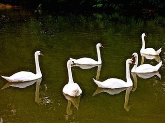 Bed & Breakfast Ch�teau Les Vall�es