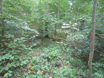 Bed & Breakfast Au Ptit Matlo