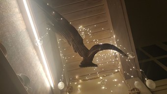 B&B L'angolino Di Bonny