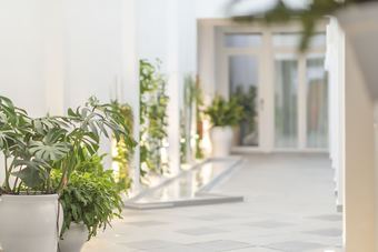 Hotel Alzocaire Hostal Boutique