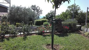 Very Spacious Apartment