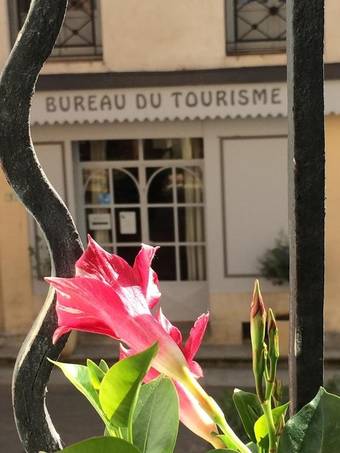 Apartamento Studio Dans La Maison D H�tes Le M.