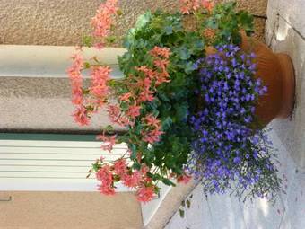 Bed & Breakfast Le Relais Des Malettes