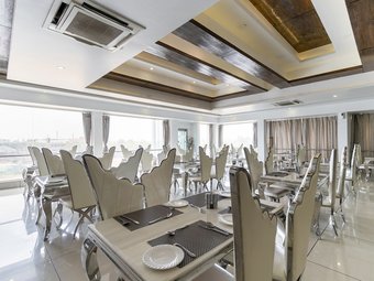 Hotel Palette - Silver Leaf