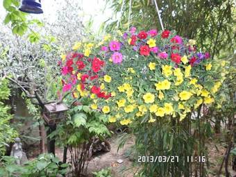 Bed & Breakfast La Sapini�re