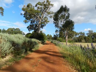 Bed & Breakfast Shambhala Guesthouse