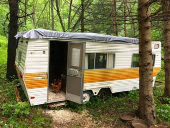 Bed & Breakfast The Birdhouse Inn