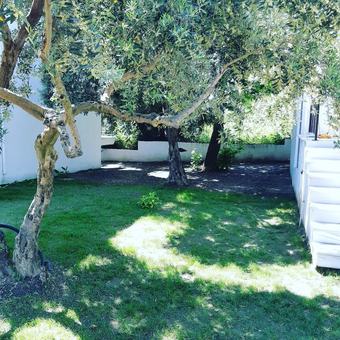 Bed & Breakfast Adasu Otel