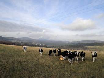 Bed & Breakfast Alavala Chambres D'h�tes