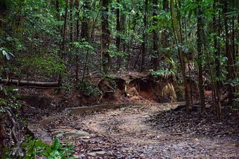 Hotel Oriient Regency