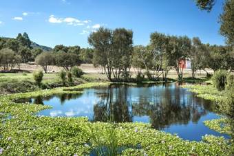 Hotel Li Neuli Country Club