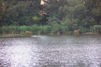 Le Moulin Du Chateau By G�tes De France