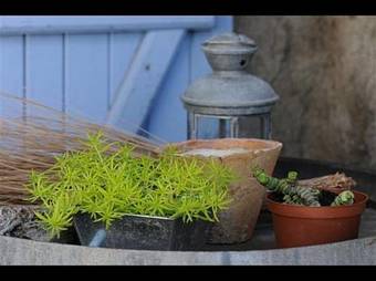 Bed & Breakfast Maison Rives