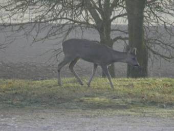 Hostal Chambres D'h�tes Le Loubet