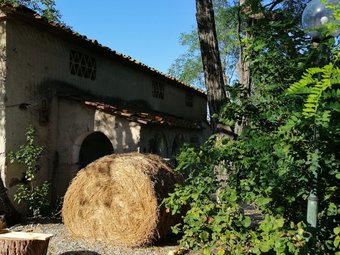 B&B Fattoria Camilla