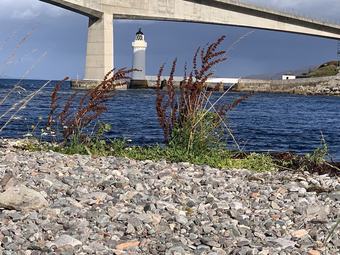 Hotel Point Napier States