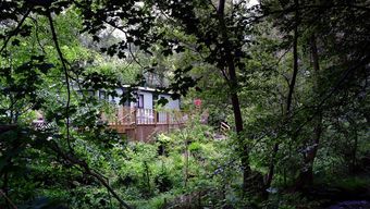 Cringoed Holiday Park