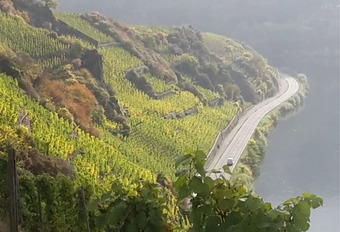 Hotel Classisches Weingut Hoffranzen