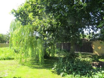 Willow Cottage Close To Sandringham