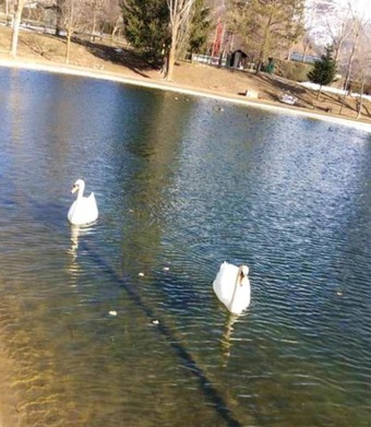 Chalet With 2 Bedrooms In Oss�ja, With Wonderful Mountain View, Pool Access And Furnished Garden - 15 Km From The Slopes