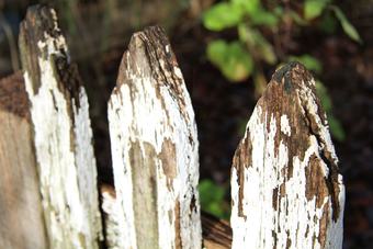 Hotel Summerhill Farm B&B