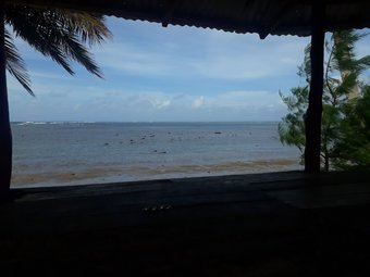 Hotel Sina Pj Beach Fales And Surf