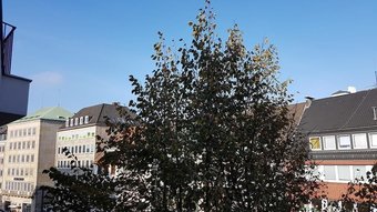 Apartamento Ferienwohnung Domshof