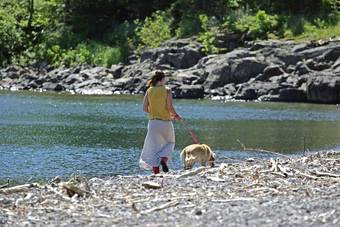 Apartamento Superior Shores Resort & Conference Center