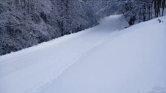 Posada Ristorante Albergo Rifugio Montescuro