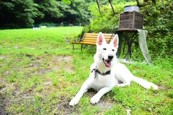 Hotel Aso Daiichikan