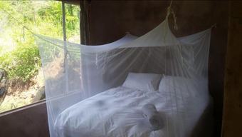 Hotel Bushwhacked Barberton