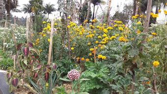 Flagship Piazza Hotel - Hostel